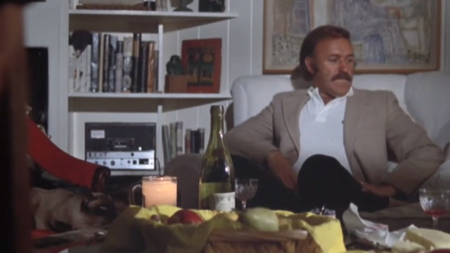 Night Moves - Siamese cat sitting on chair as Harry Moseby Gene Hackman sits down