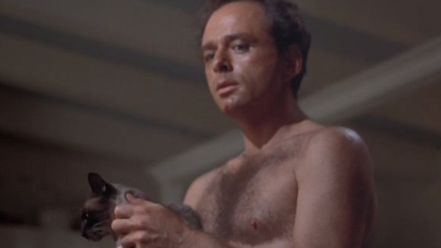 Night Moves - Marty Harris Yulin holding Siamese cat