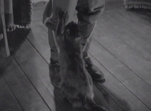 Night Must Fall black cat at Danny's feet