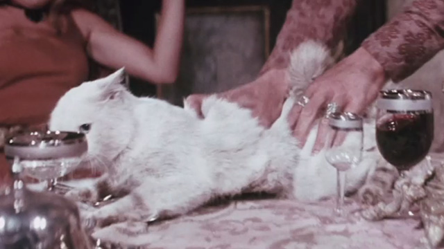 The Night of 1000 Cats - white cat being grabbed violently on table