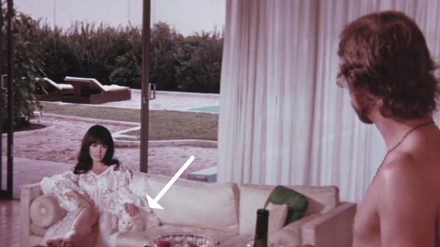 The Night of 1000 Cats - girl sitting with white cat on couch with Hugo