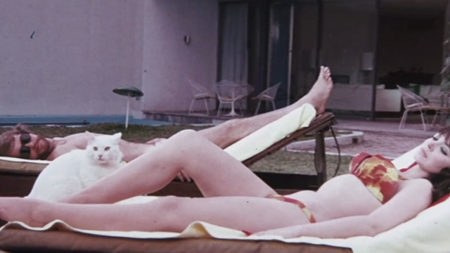 The Night of 1000 Cats - girl lying on lawn chair with white cat and Hugo in background