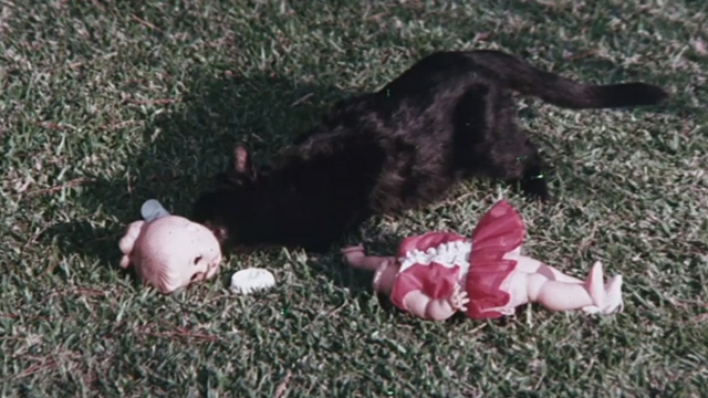 The Night of 1000 Cats - black cat licking at unattached head of doll