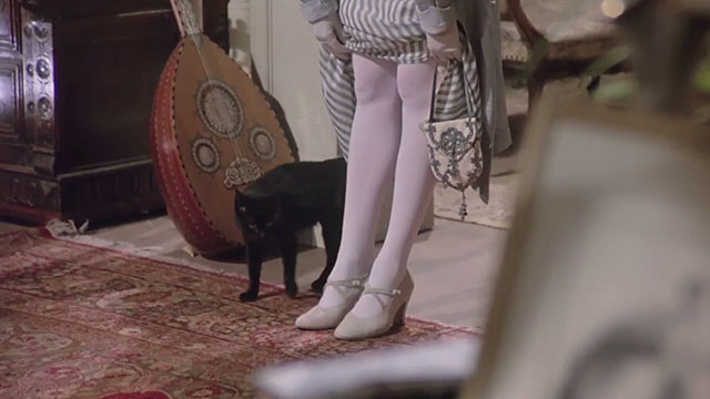 Nijinsky - black cat walking around Romola's legs