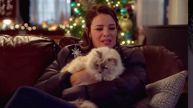 The Nine Kittens of Christmas - Marilee Kimberley Sustad holding longhair cat Duchess Lilybell