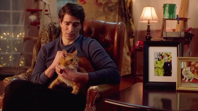 The Nine Kittens of Christmas - Zachary Brandon Routh with ginger tabby cat Ambrose Trace