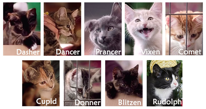 The Nine Kittens of Christmas - the nine kittens of Christmas by name