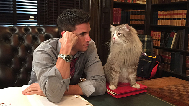Nine Lives - Norwegian Forest Cat Mr. Fuzzypants with David Robbie Amell