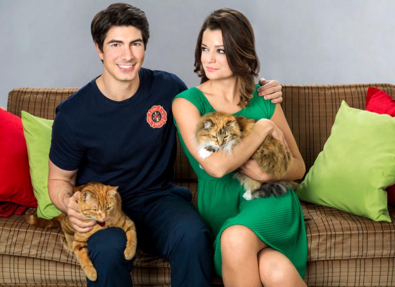 The Nine Lives of Christmas - Zachary Brandon Routh with orange tabby cat Ambrose Trace and Marilee Kimberly Sustad with long-haired calico Queenie