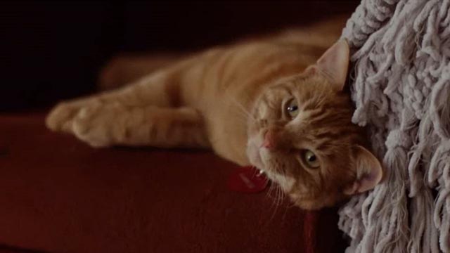 The Nine Lives of Christmas - orange tabby cat Ambrose Trace