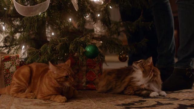 The Nine Lives of Christmas - orange tabby cat Ambrose Trace and long-haired calico Queenie under Christmas tree