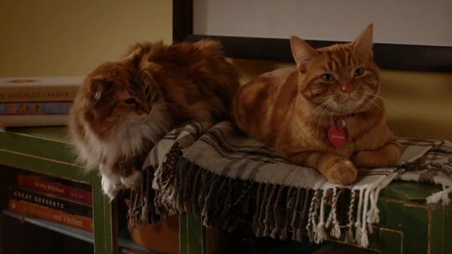 The Nine Lives of Christmas - orange tabby cat Ambrose Trace and long-haired calico Queenie on bookcase