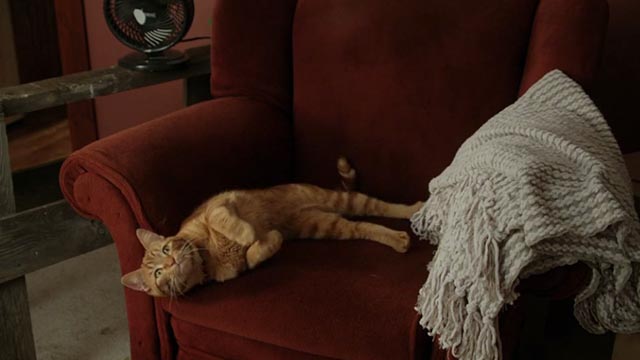 The Nine Lives of Christmas - orange tabby cat Ambrose Trace on chair