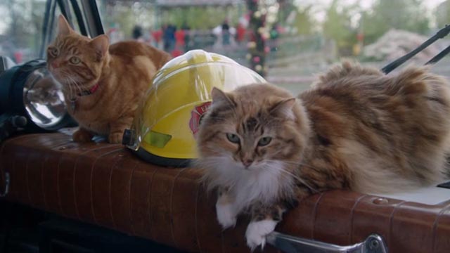 The Nine Lives of Christmas - orange tabby cat Ambrose Trace and long-haired calico Queenie on firetruck dashboard