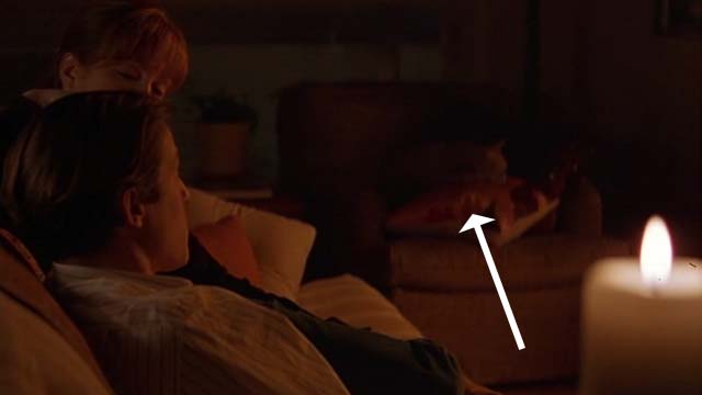 Nine Months - long haired yellow cat Skippy sleeping on pillow