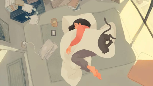 Noon - grey cat curled up beside sleeping girl