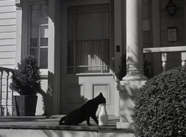 No Sad Songs for Me - black cat with white spot on nose Horace licking milk from top of bottle on porch