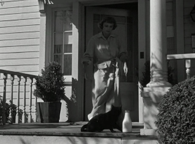 No Sad Songs for Me - Mary Margaret Sullavan catching black cat with white spot on nose Horace licking milk from top of bottle