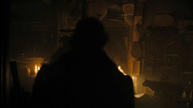 Nosferatu - cat shadow in dark room of Professor von Franz