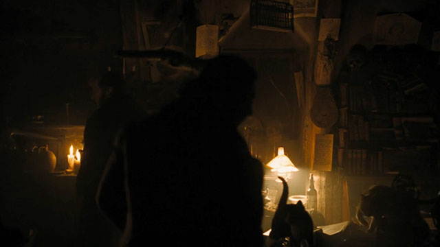 Nosferatu - silhouettes of cats in dark room of Professor von Franz