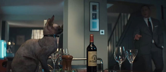 No Time to Die - hairless Sphynx cat sitting on dining table with Bond Daniel Craig in background