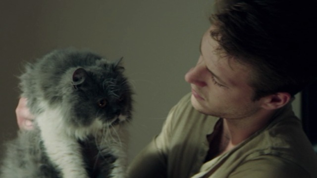 The November Man - Mason Luke Bracey holding grey and white longhaired cat Smokey