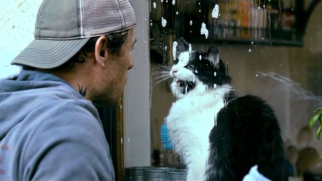 Nowhere Special - John James Norton cleaning window with longhair tuxedo cat on meowing inside