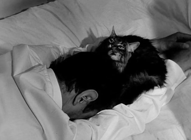Nuit noire Calcutta - Maurice Garrel on bed having hair licked by longhair tabby cat