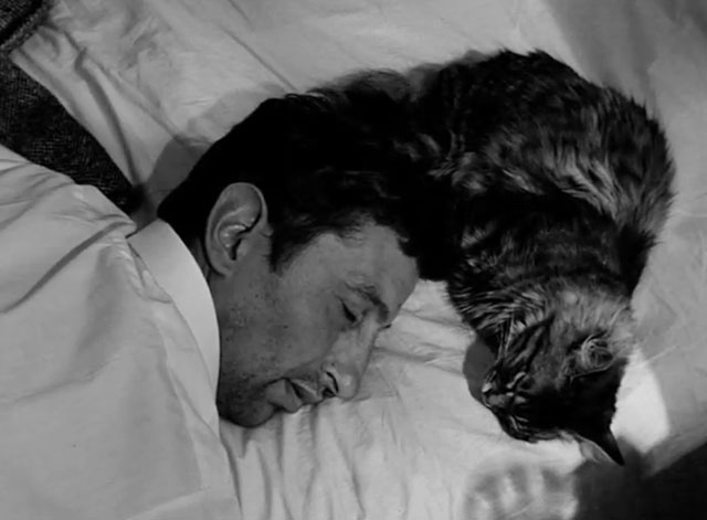 Nuit noire Calcutta - Maurice Garrel lying on bed with longhair tabby cat