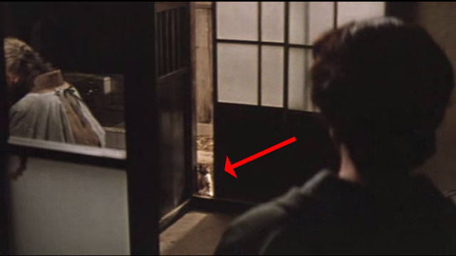 Babe - Ikuko Machiko Ky&ocirc; looking at tiny tabby kitten in doorway