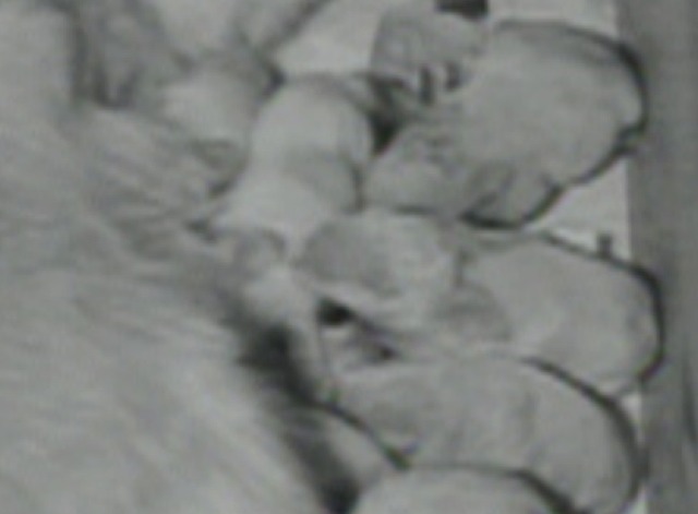 Off the Record close