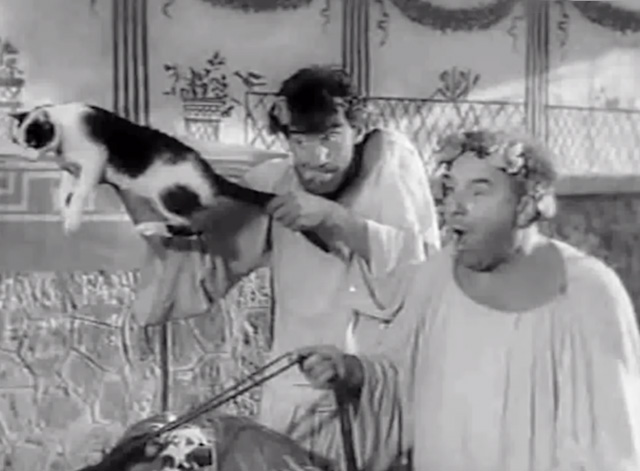 O.K. Nero - Fiorello Walter Chiari pulling on white and black cat's tail with Jimmy Carlo Campanini