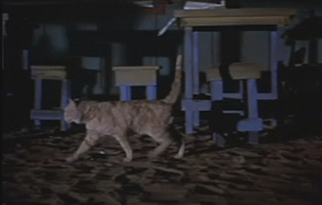 The Old Man and the Sea