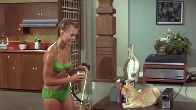 Once You Kiss a Stranger - Diana Carol Lynly approaching orange tabby cat on television set