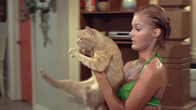 Once You Kiss a Stranger - Diana Carol Lynly carrying orange tabby cat
