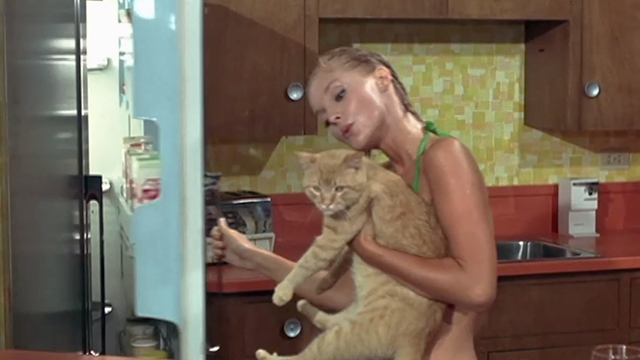 Once You Kiss a Stranger - Diana Carol Lynly holding orange tabby cat in front of refrigerator