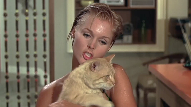 Once You Kiss a Stranger - Diana Carol Lynly holding orange tabby cat