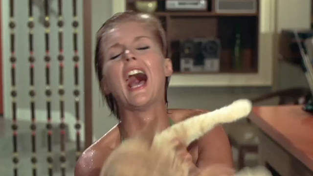Once You Kiss a Stranger - Diana Carol Lynly being scratched by fighting orange tabby cat