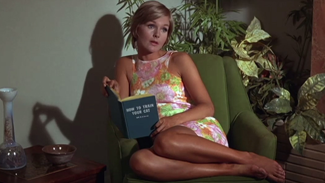 Once You Kiss a Stranger - Diana Carol Lynly reading book How to Train Your Cat
