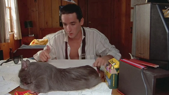 One Crazy Summer - long hair gray cat Morty sitting on desk in front of Hoops McCann John Cusack