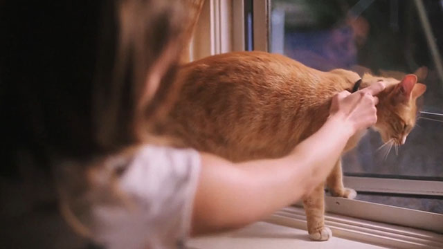 One in the Dark - ginger and white tabby cat Charlie at window