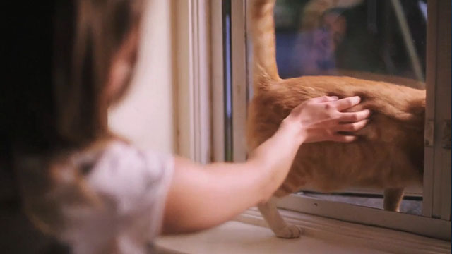 One in the Dark - ginger and white tabby cat Charlie exiting window