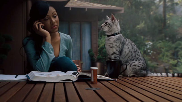 One Missed Call - Shelley Meagan Good sitting at table with Egyptian Mau cat