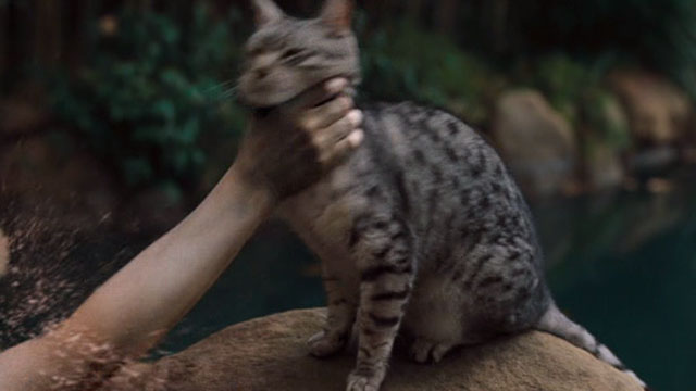 One Missed Call - Egyptian Mau cat sitting by pond being grabbed by throat