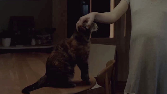 The Ones Below - torbie cat being petted on head by Kate Clémence Poésy