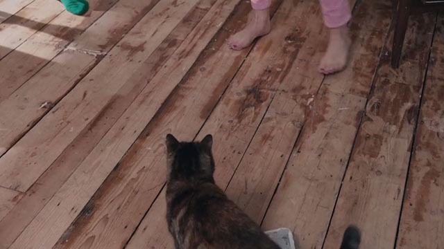 The Ones Below - torbie cat approaching legs on floor