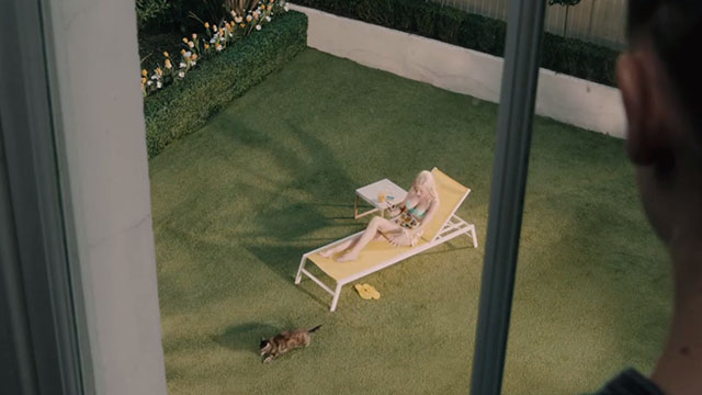 The Ones Below - torbie cat walking away from Therese Laura Birn on lawn chair