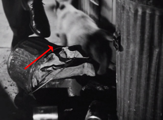 One Third of a Nation - cat running away from fallen garbage pail