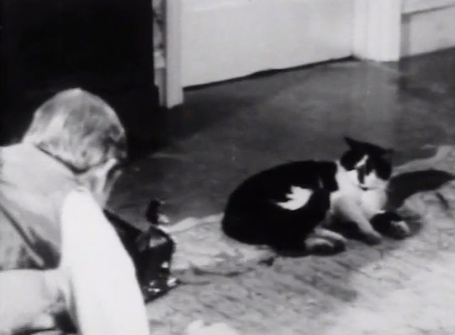 The Naked World of Harrison Marks - tuxedo cat lying on floor as cameraman approaches