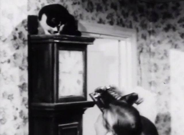 The Naked World of Harrison Marks - tuxedo cat on grandfather clock as cameraman tries to take photo